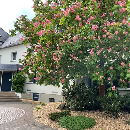 Hotel Luther Birke 3*