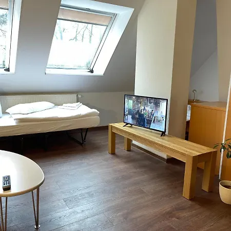 Hotel Luther Birke Wittenberg