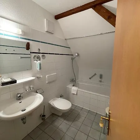 Hotel Luther Birke