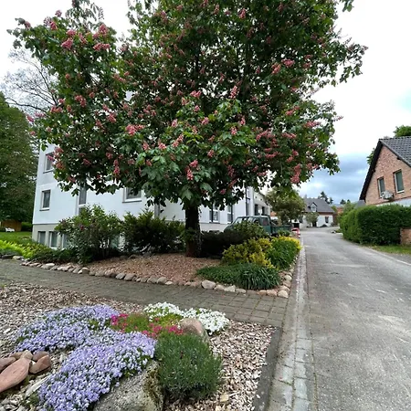 Luther Birke 3* Wittenberg