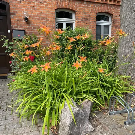 Hotel Luther Birke