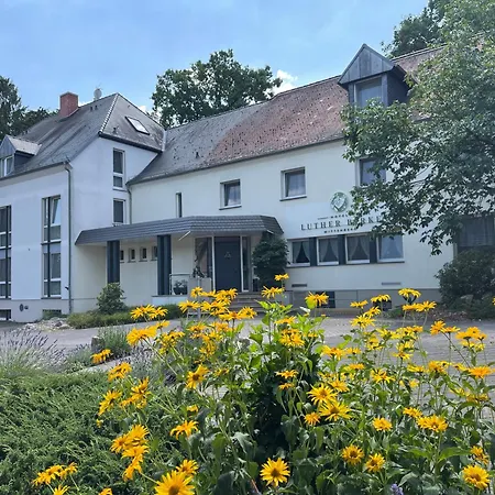 Luther Birke Hotell Wittenberg