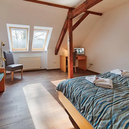 Luther Birke Hotel Wittenberg