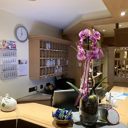 Luther Birke 3* Wittenberg