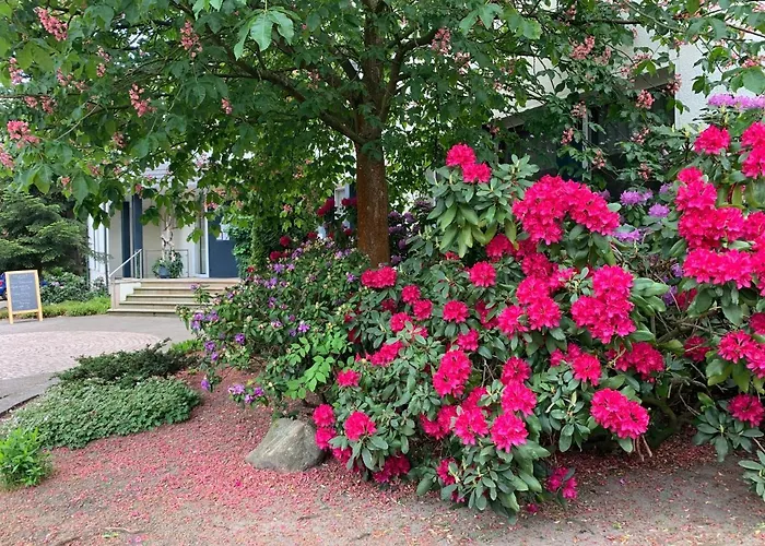 Luther Birke Otel Wittenberg