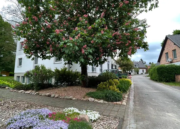 Luther Birke 3* Wittenberg