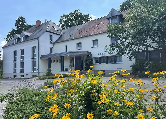 Luther Birke Otel Wittenberg