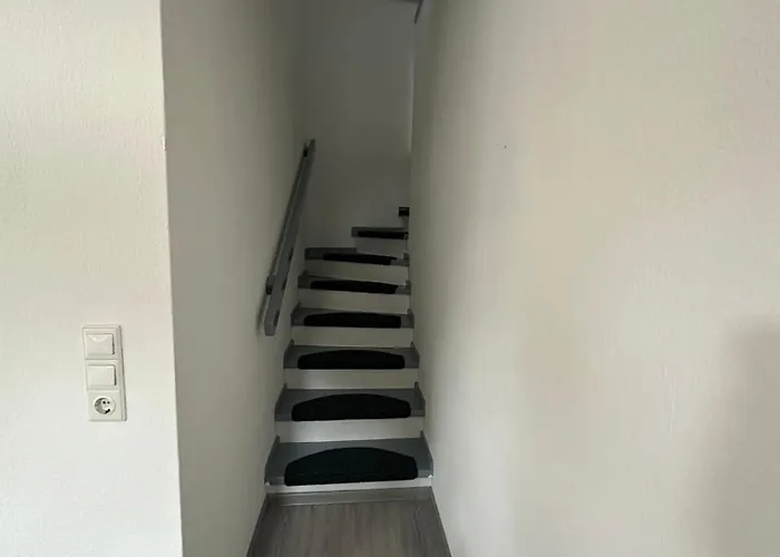 Luther Birke Wittenberg