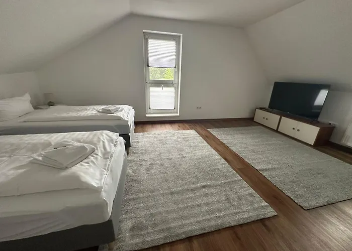 Hotel Luther Birke Wittenberg