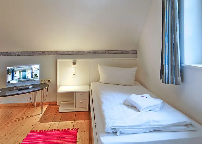 Luther Birke Otel Wittenberg