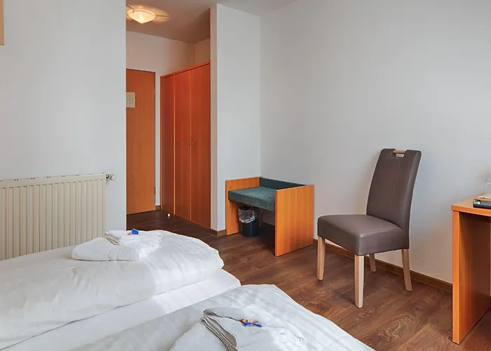 Hotel Luther Birke Wittenberg