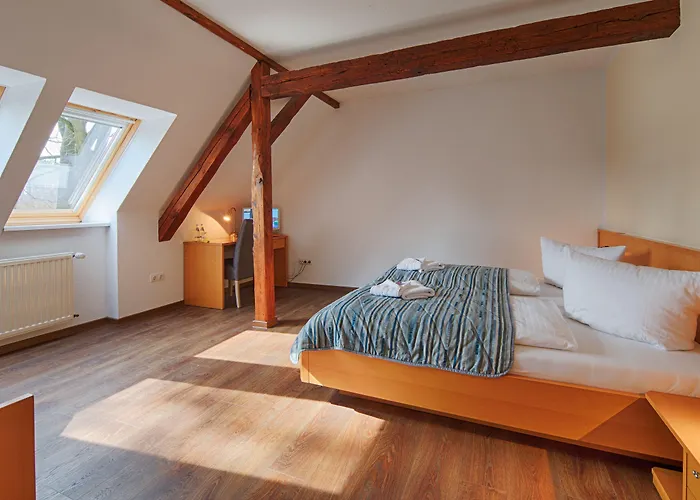 Hotel Luther Birke 3*