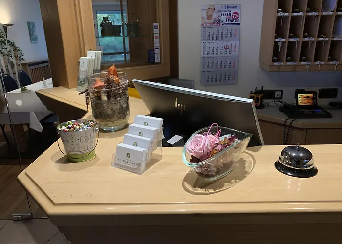 Otel Luther Birke Wittenberg