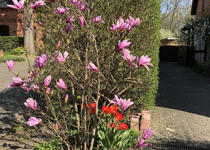 Hotel Luther Birke 3*