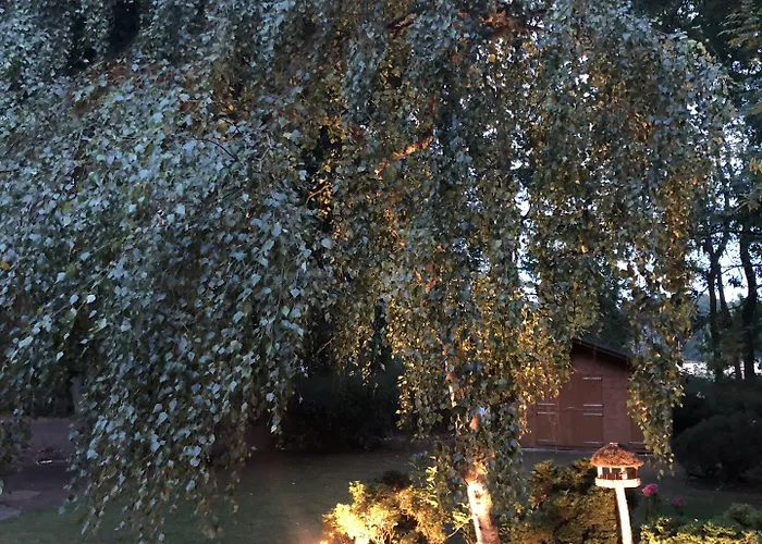 酒店 Luther Birke Wittenberg